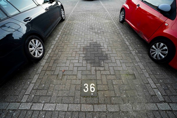 Medium property photo - Paulus Potterstraat 90, 2526 TD Den Haag